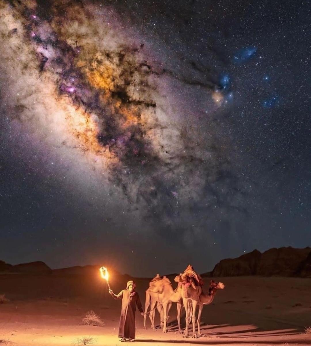 Wadi Camp & Bubble Tent & Bedouin Style & Tours Luxury tent Wadi Rum
