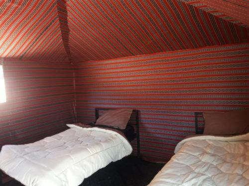 Wadi Camp & Bubble Tent & Bedouin Style & Tours Luxury tent Wadi Rum