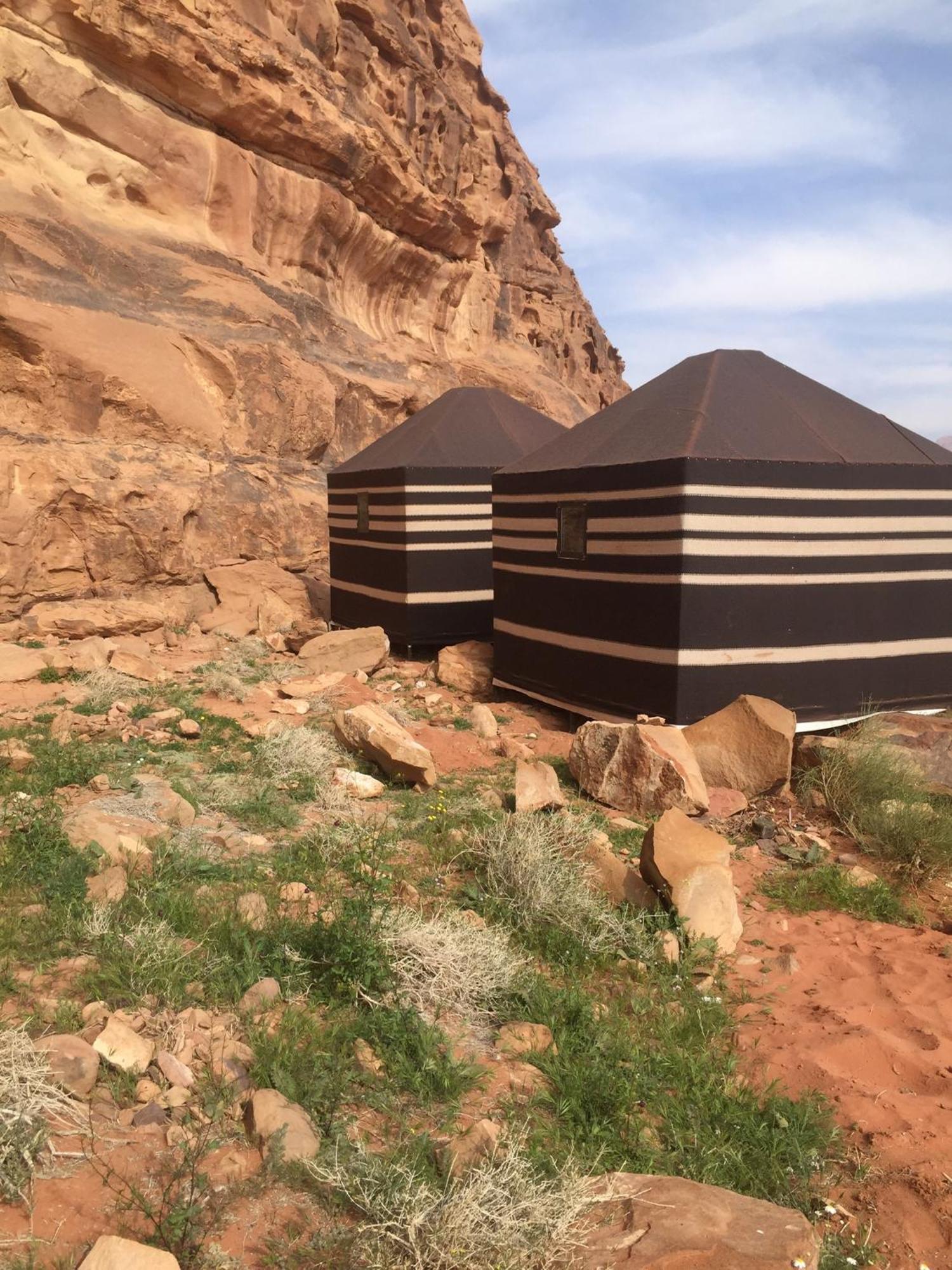 Luxury tent Wadi Camp & Bubble Tent & Bedouin Style & Tours 3*