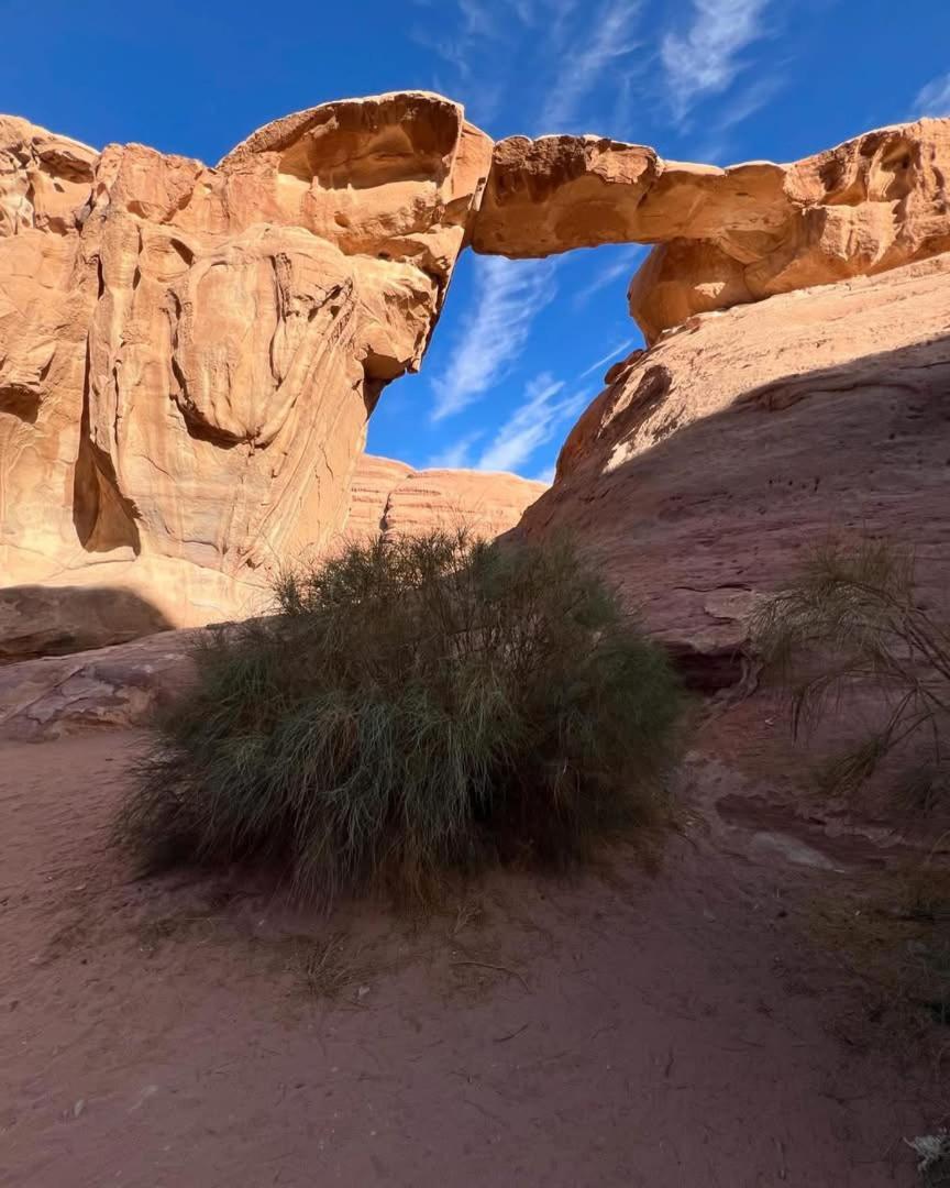 Wadi Camp & Bubble Tent & Bedouin Style & Tours Luxury tent Wadi Rum